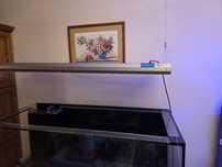 Akwarium morskie - Ati Sunpower 8x54w