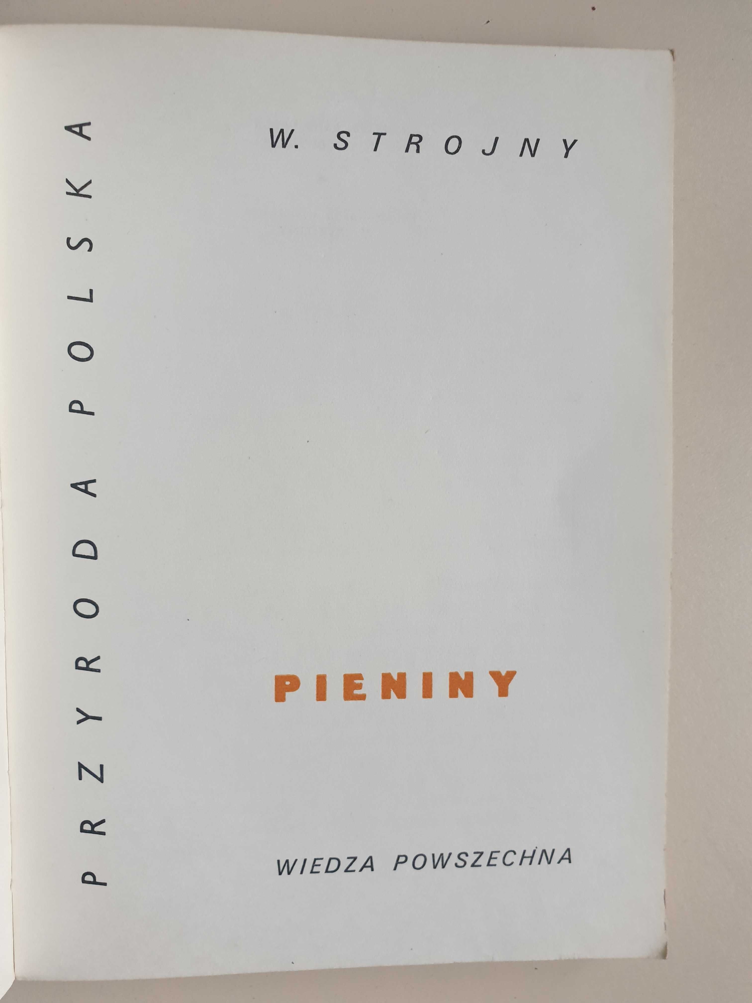 Pieniny - Władysław Strojny