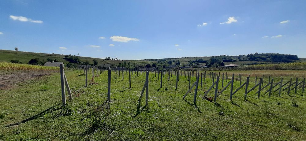 Продаж будинку, Тернопільська область, Монастириський район Швейків
