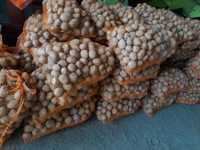Ziemniaki jadalne  Wineta,  Denar Connect od rolnika