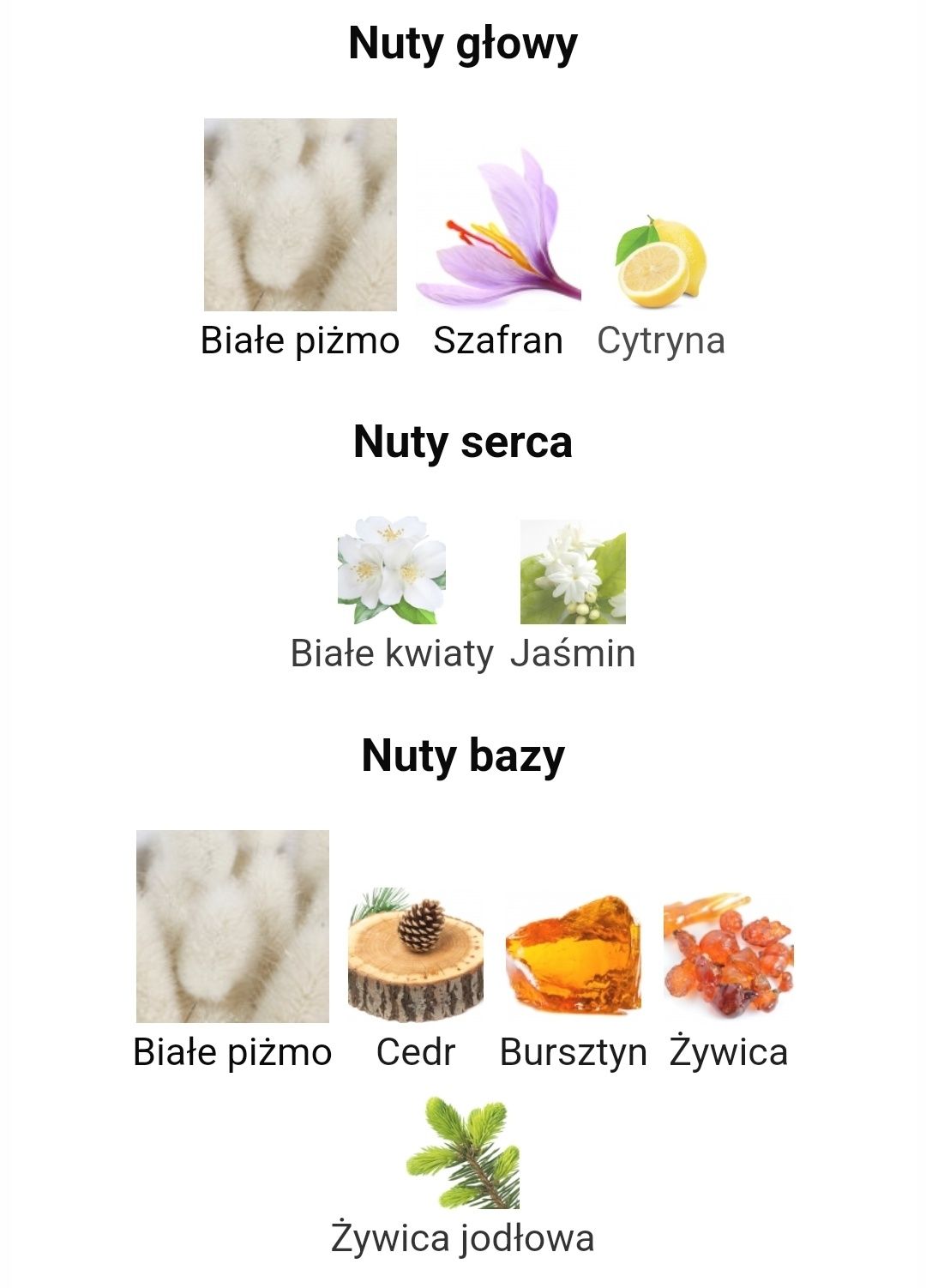 Perfum Lattafa Opulent Musk