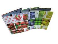 Segregator A4 owoce fruits do szkoły i biura