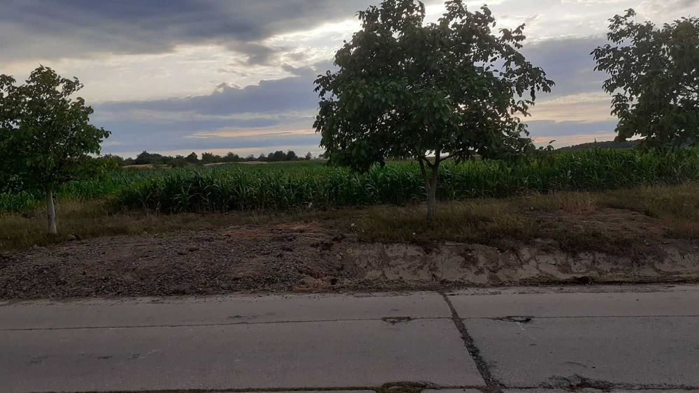 Земельна ділянка під Постройку в с.Пістрялово