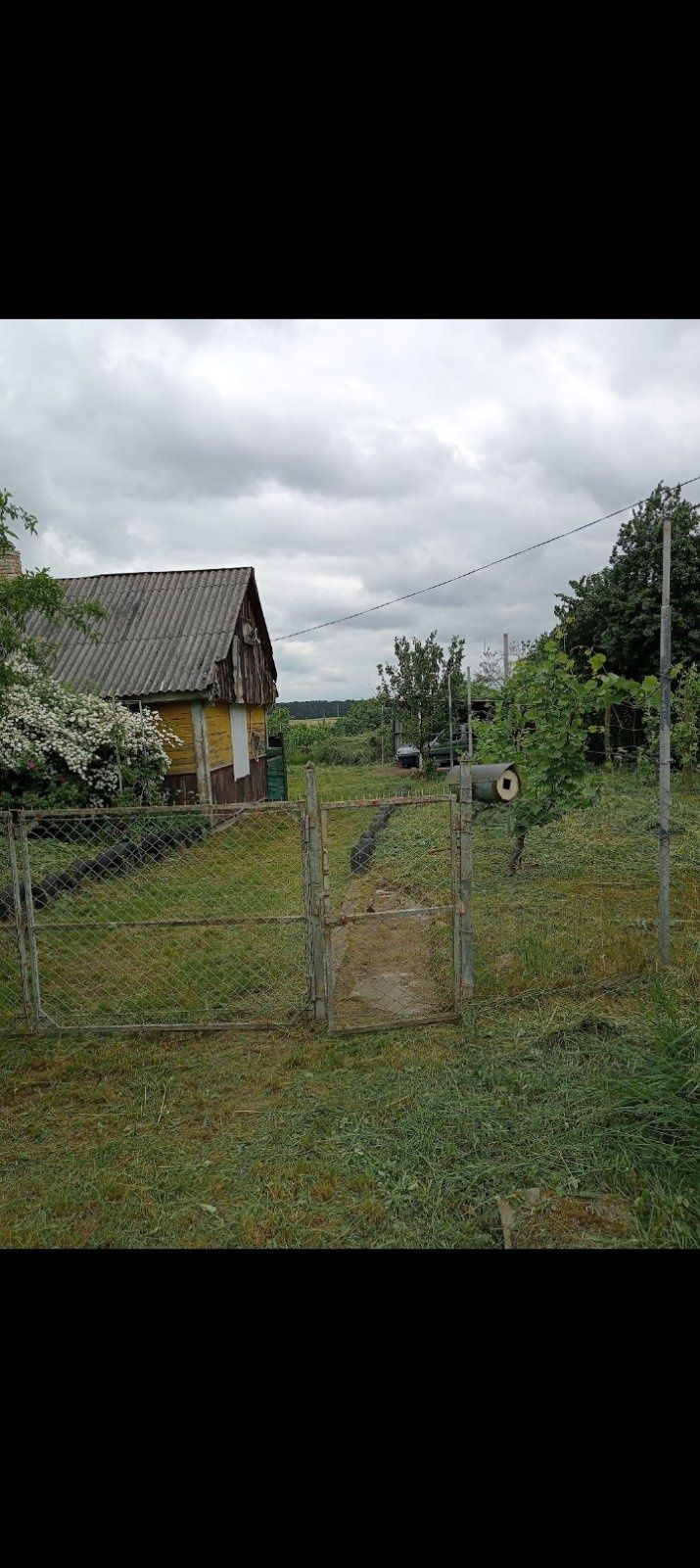 присадибна ділянка