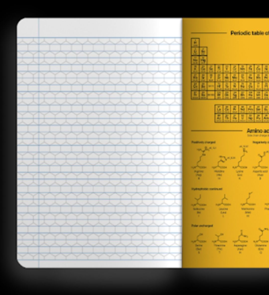 Chemnote caderno de desenho de quimicos