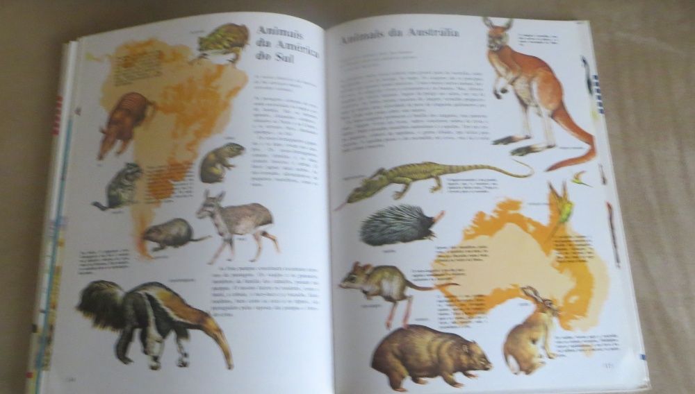 Passeio - Natureza Infanto - Juvenil Ilustrada