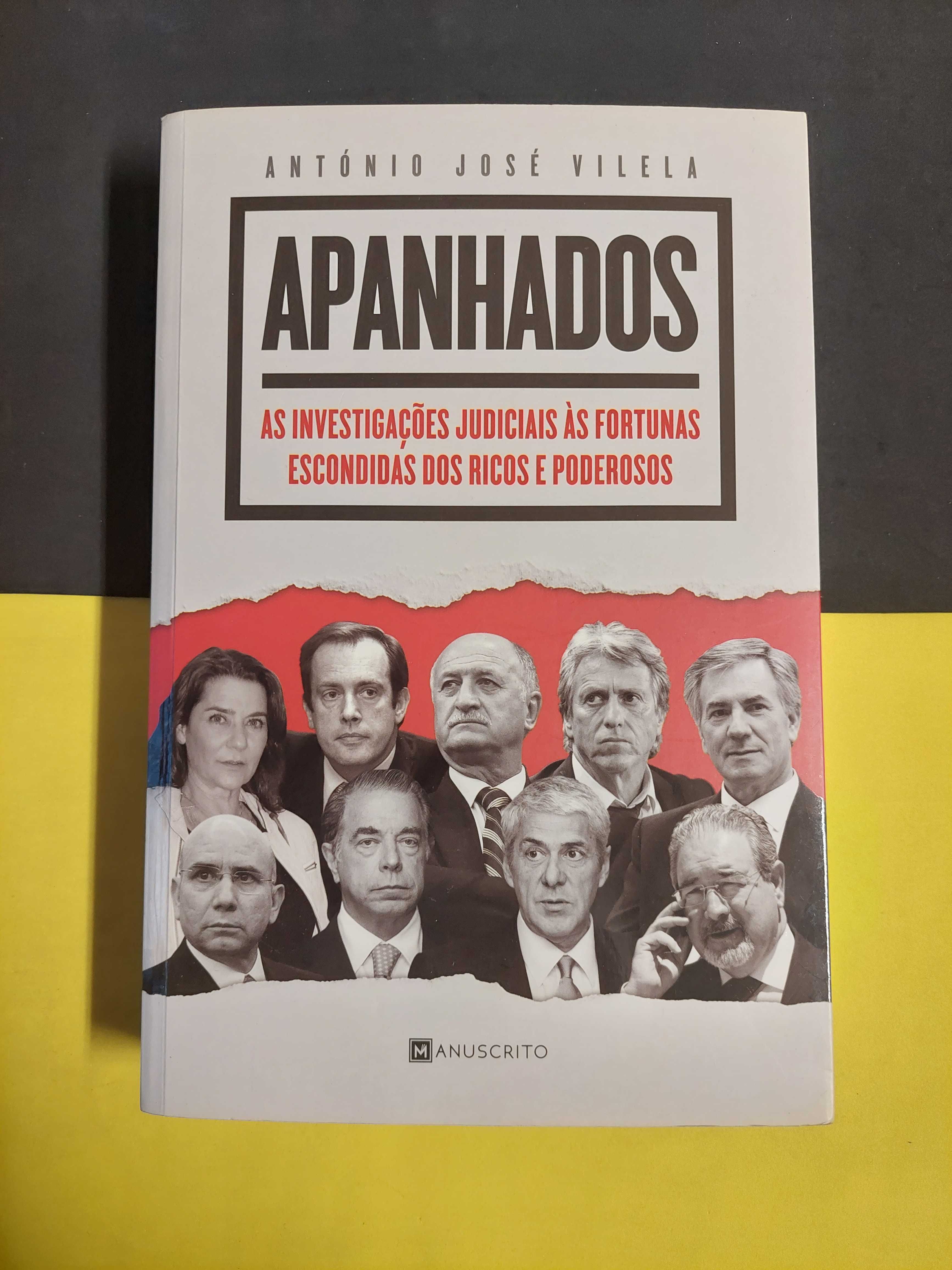 António José Vilela - Apanhados