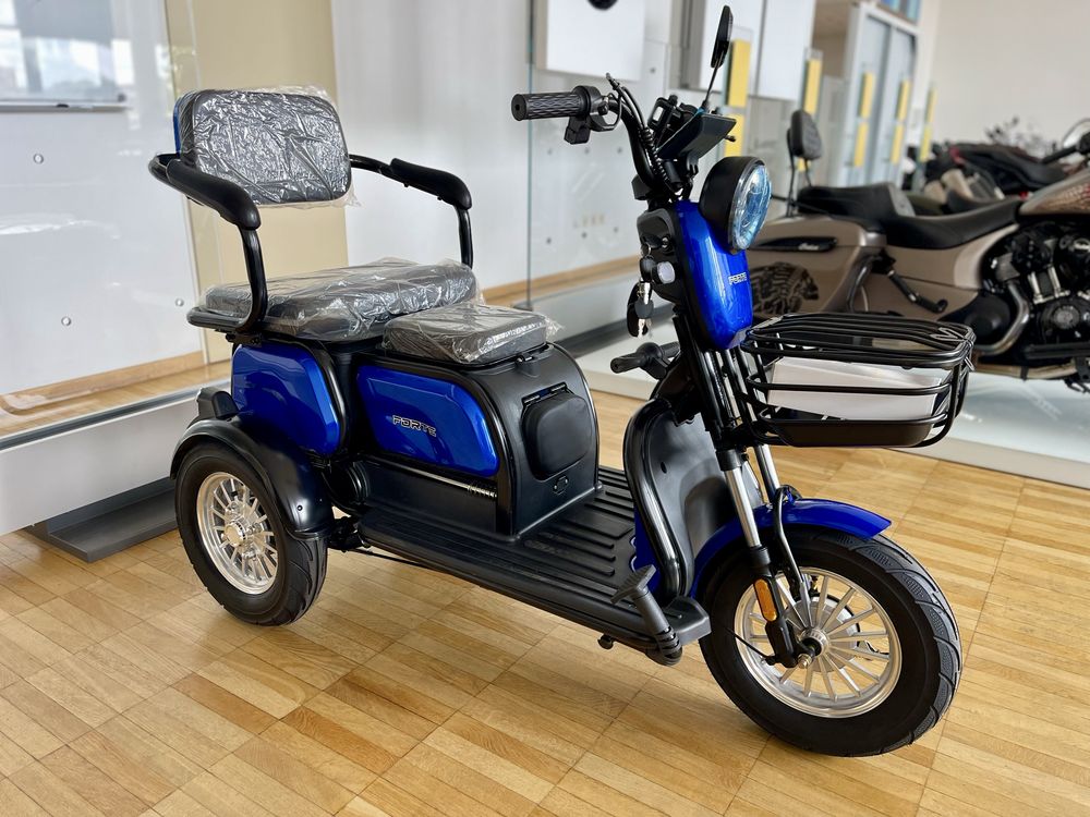 Трицикл акумуляторний Forte FAMILY-WS1000