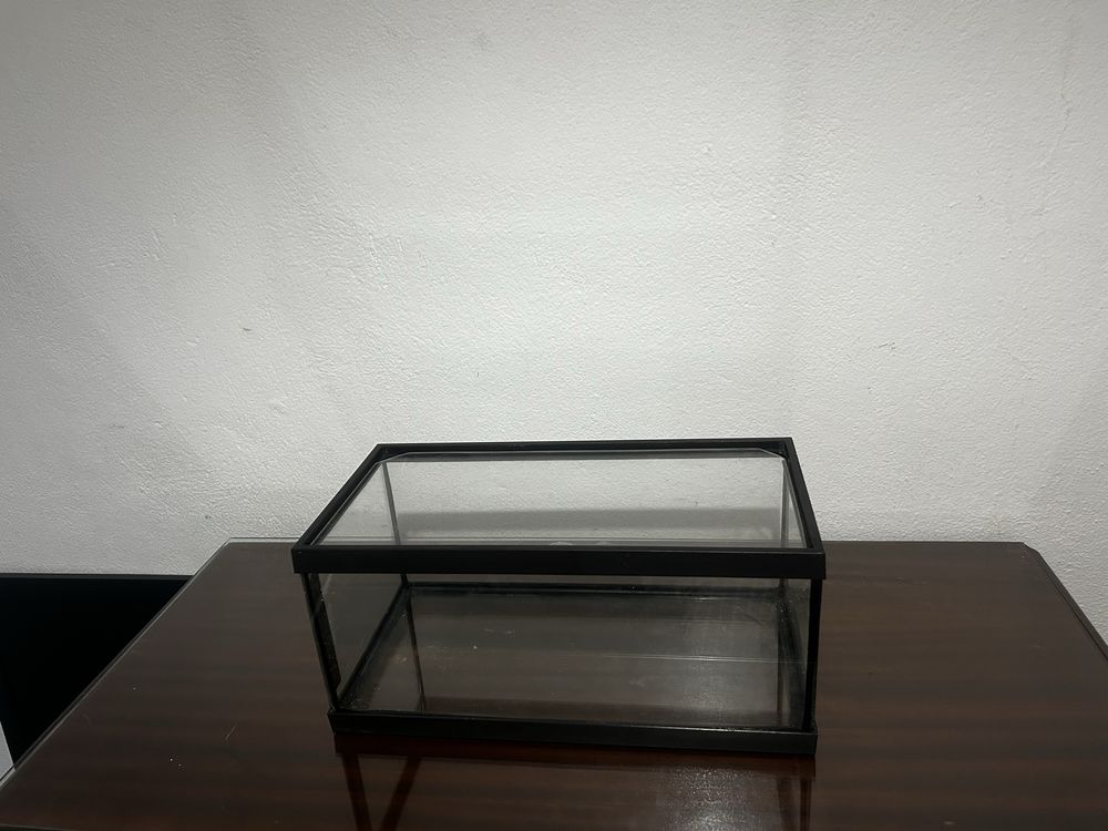 Varios aquarios