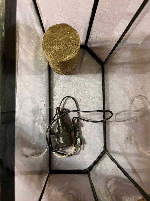 Акваріум для рибок