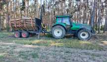Wycinka i Pielęgnacja Drzew. Podnośnik Koszowy. Transport Drewna