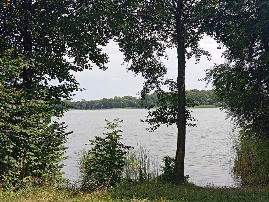 Do wynajęcia całoroczny DOMEK SPA Sauna ,Jacuzzi ,Balia ,RELAX Nocleg