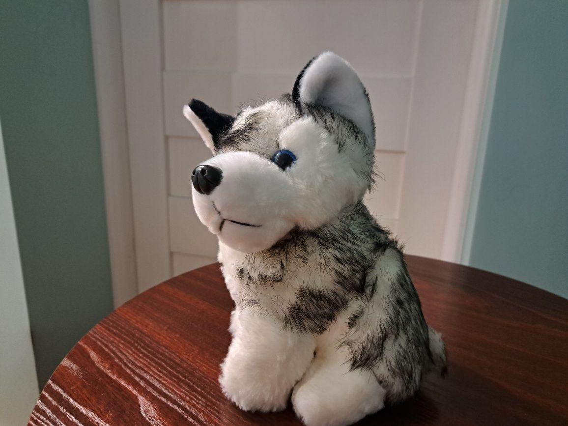 Pluszak maskotka Piesek Husky