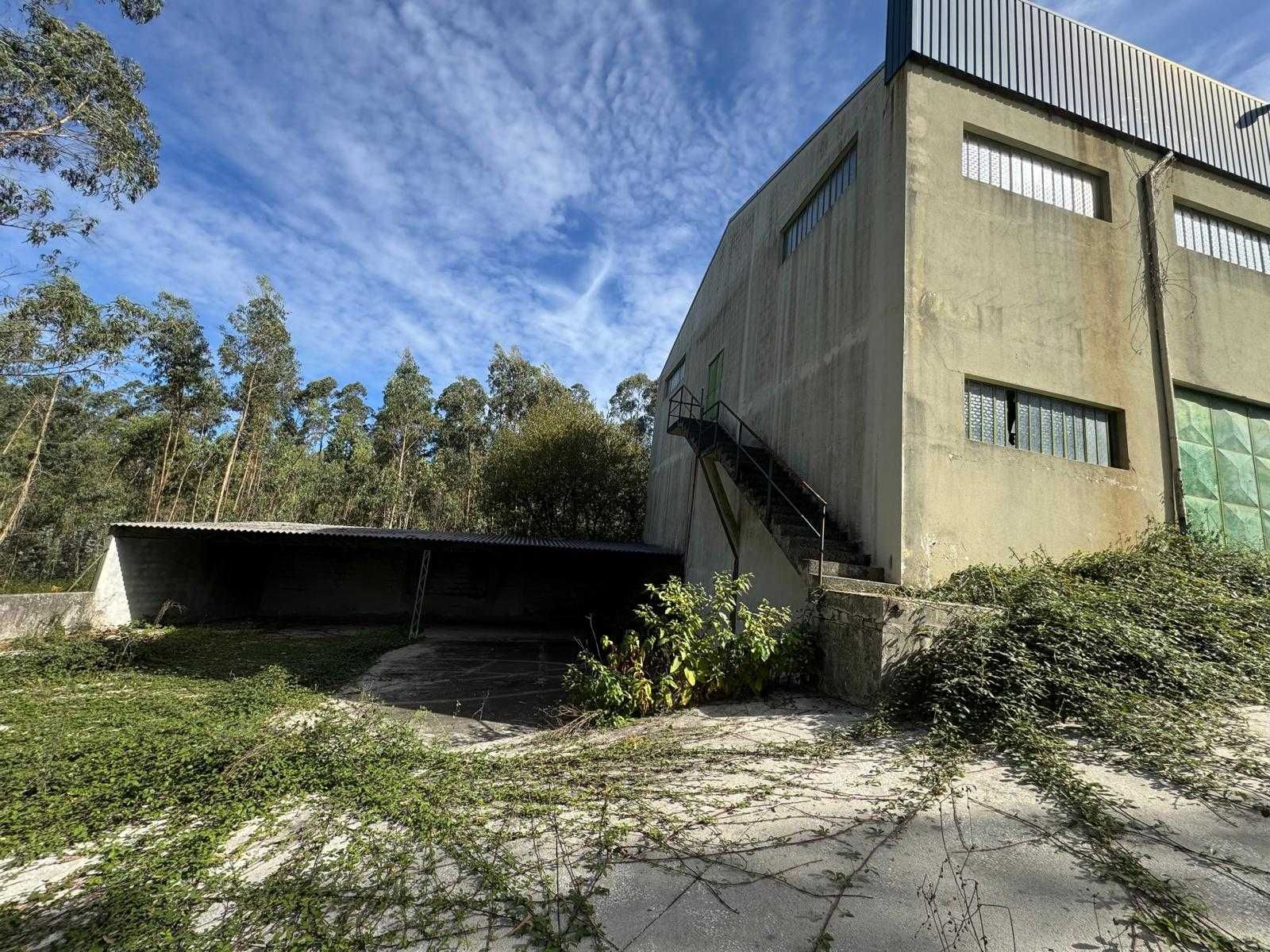 Armazém em São Martinho da Gândara para Arrendamento