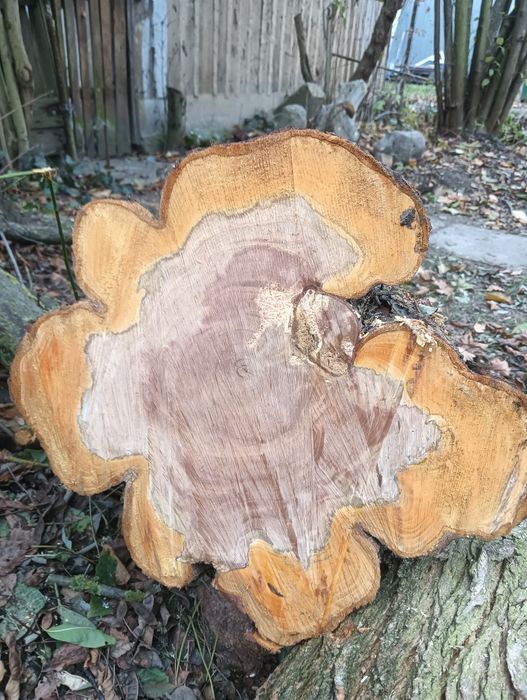 Sprzedam drewno śliwki