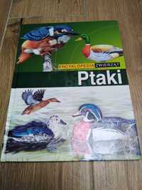 Encyklopedia zwierząt ptaki
