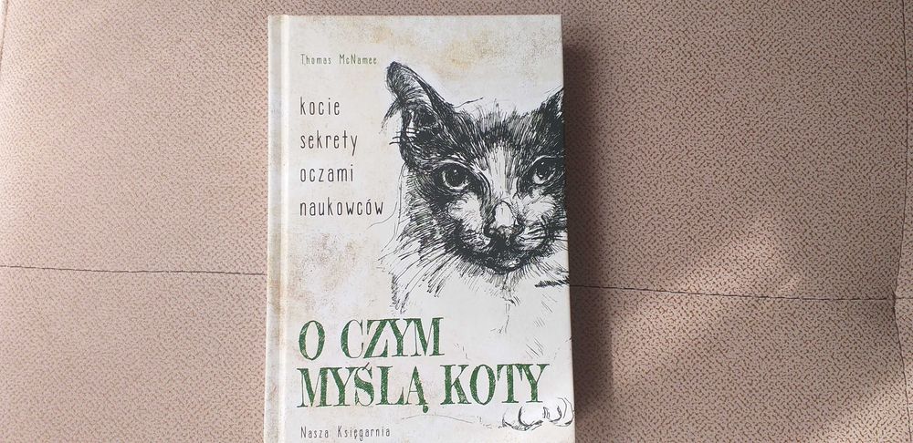 O czym myślą koty