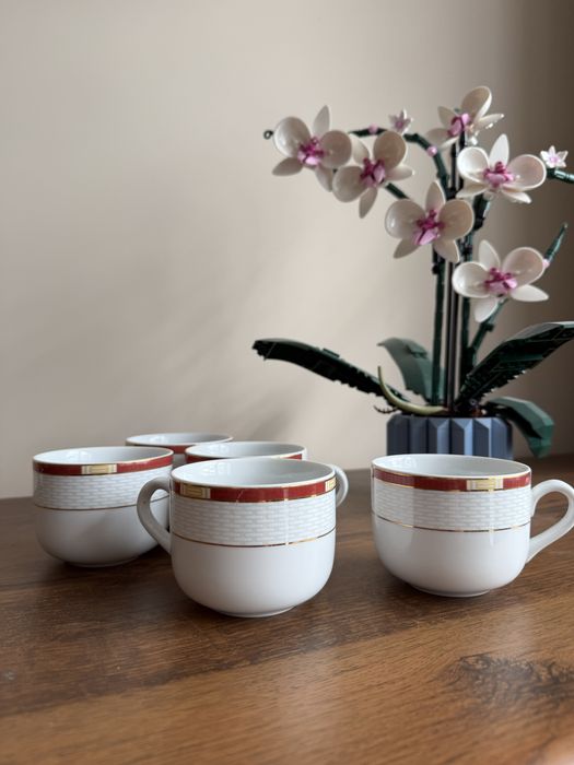 Komplet 5 filizanek porcelanowych Waza made in Poland