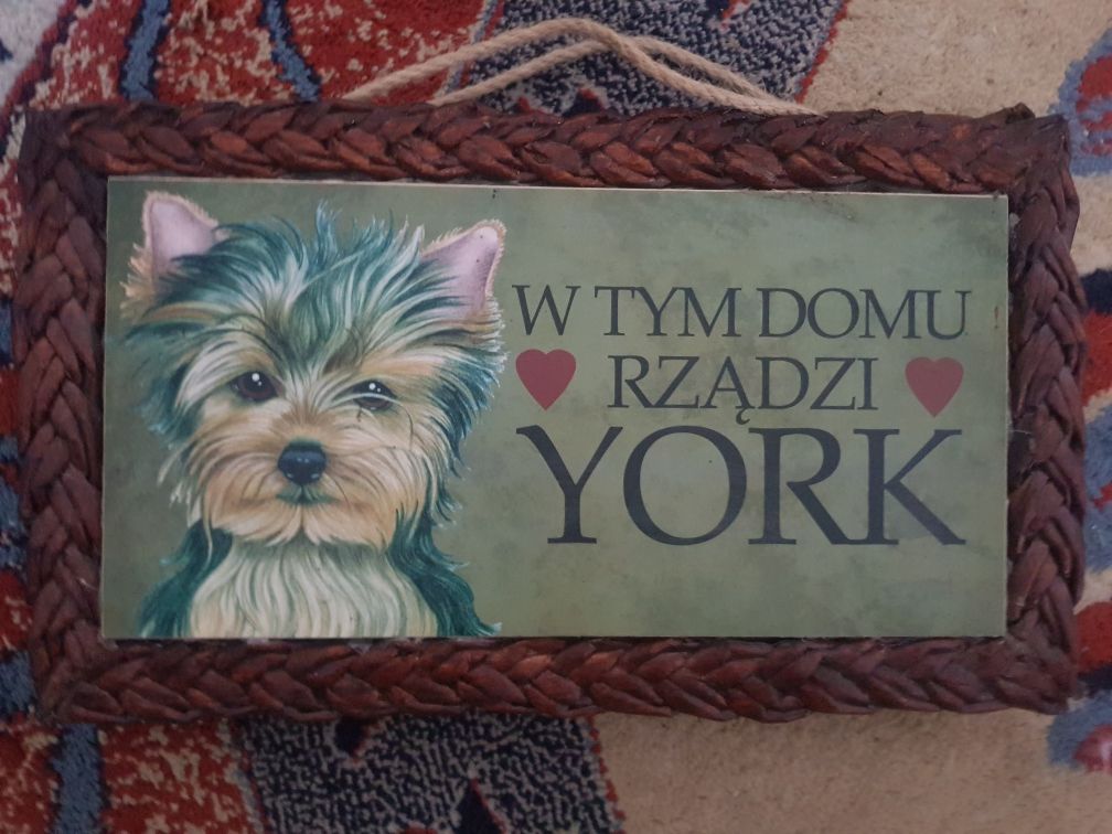 tabliczka york rządzi