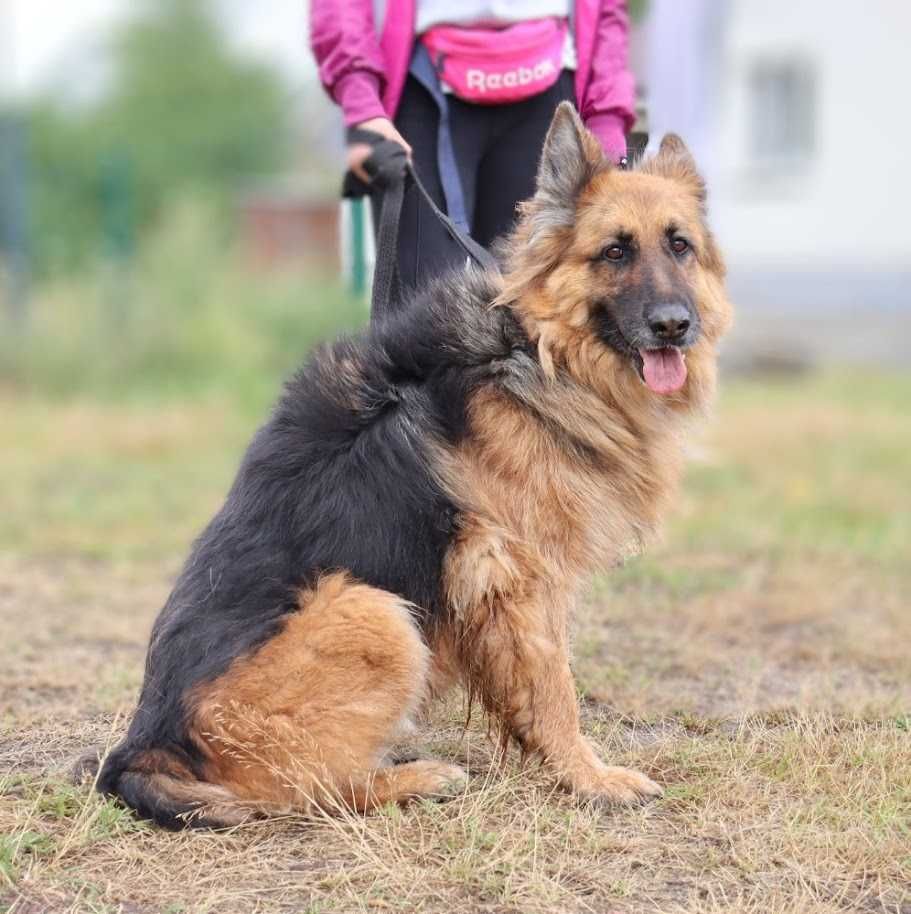 spokojna seniorka czeka na dom