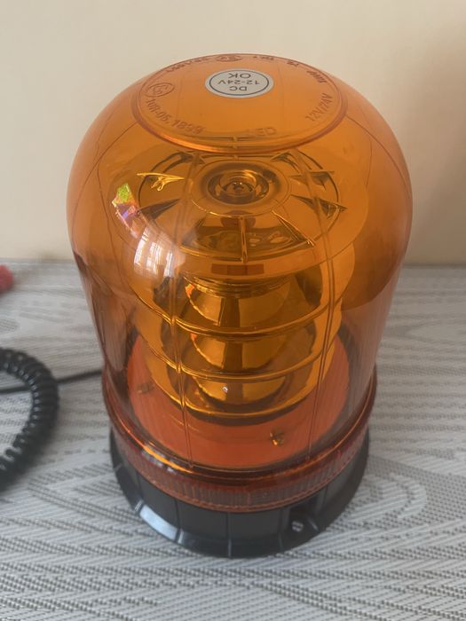 Мигалка помаранчева