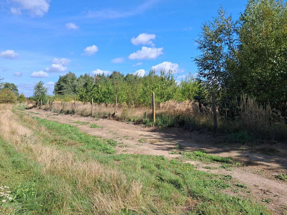 Sprzedam działki rolne - Gośniewice, woj. mazowieckie