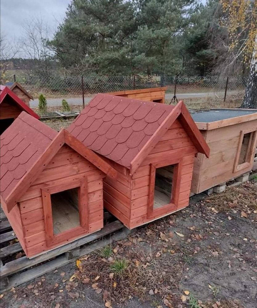 Nowe budy dla pieskow zapraszm