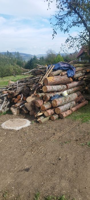 Drzewo do obróbki i na opał