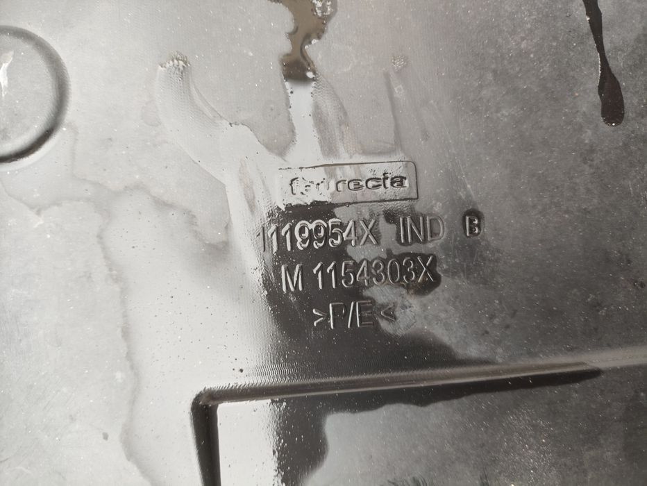 Захист бампера Рено Зоя Renault Zoe захист мотора