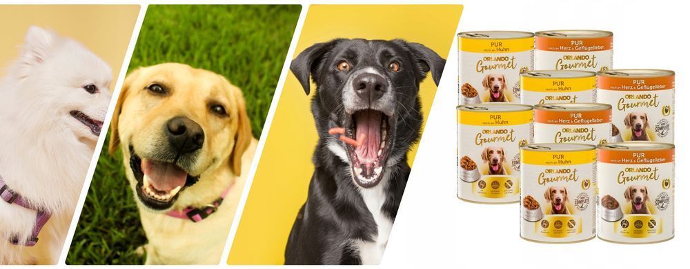 Karma Mokra Orlando Pur Gourmet 8 X 800 G - Mix Smaków Dla Psów