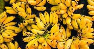 Coleção Banana da Madeira | Centro de Mesa | Nini Andrade Silva