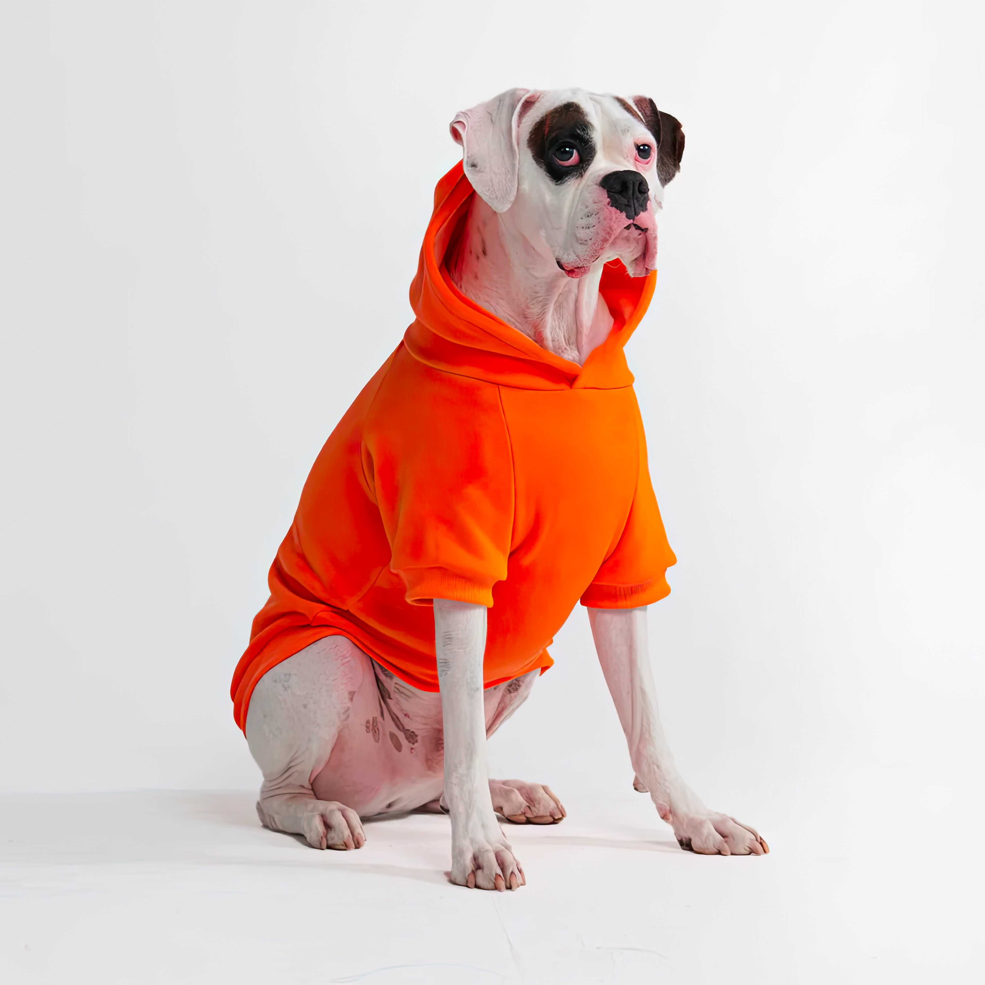 Ubranko Bluza Dla Psa Ubranie Orang (KAŻDEJ Rasy / Wszystkie Rozmiary)