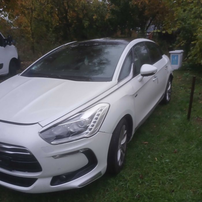 Ds 5 Citroen odonowe