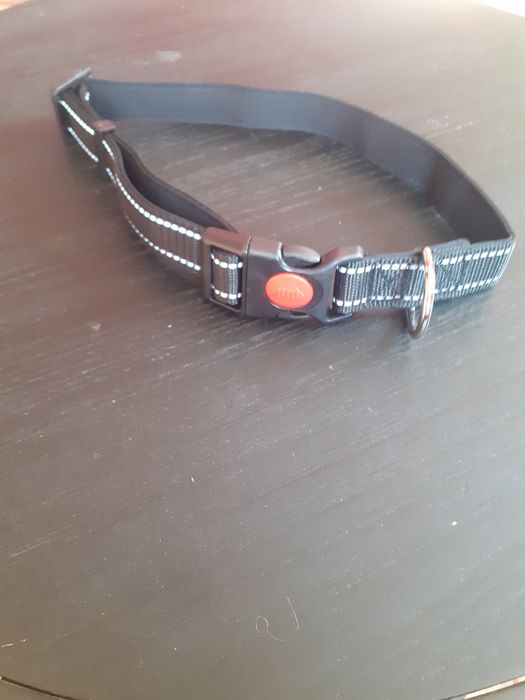 Obroża dla psa nowa