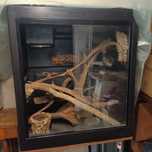 Terrarium profesjonalne Herptek 90x60x100 cm legwan, waran boa morelia