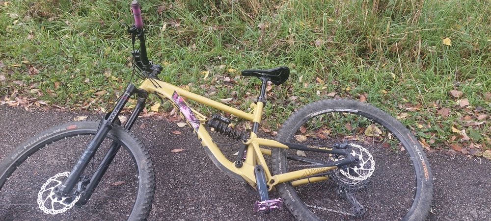 Kellys swag 50 2022 bdb stan