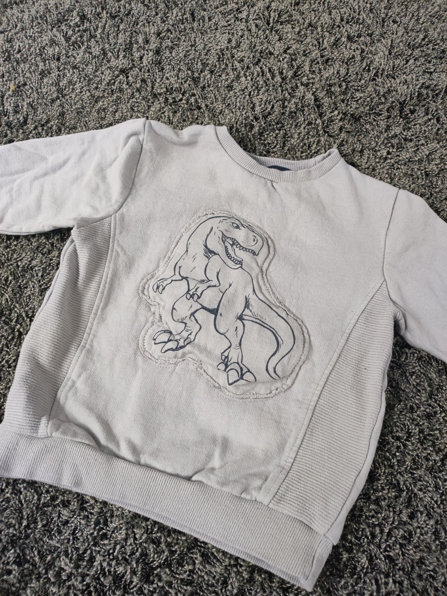 Bluza dinozaur rozmiar 4/5 lat - 110 cm