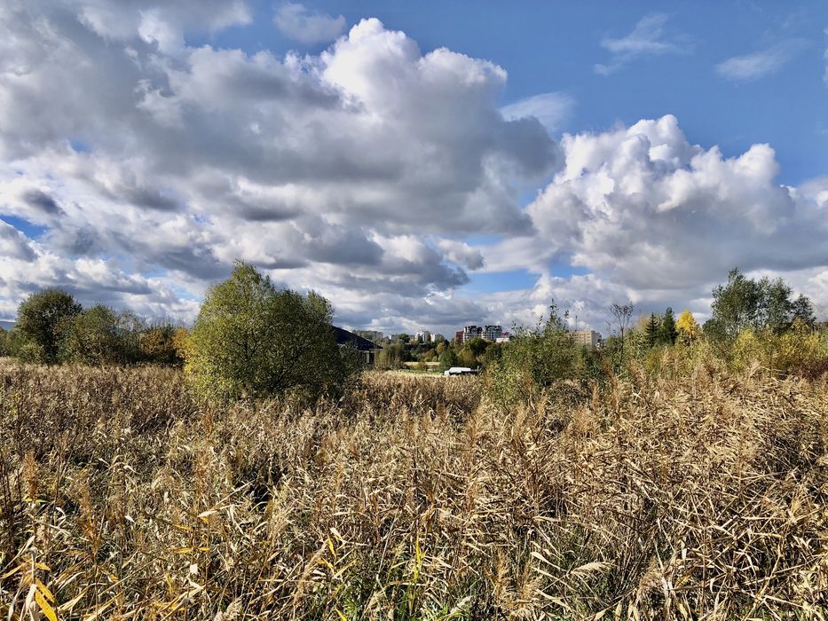 Продаються три земельні ділянки