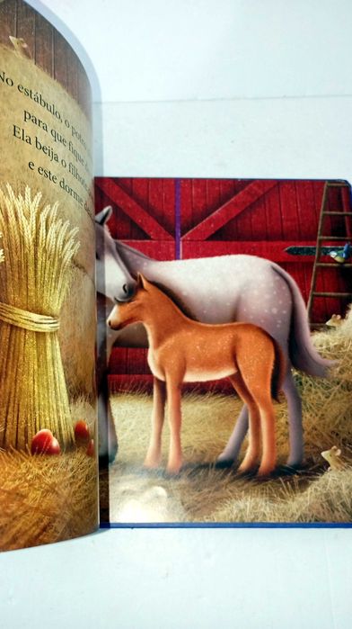 Espreita pela Janela Mágica