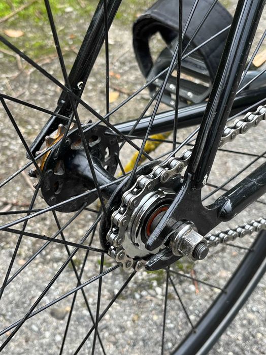 Fuji Feather 2020 | сталевий фікс/фрівіл