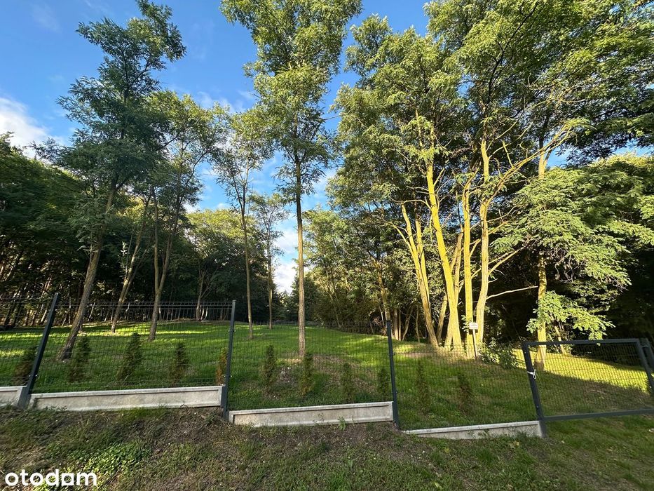 Działka przy lesie – cisza, natura i Dolina Szyszyny!