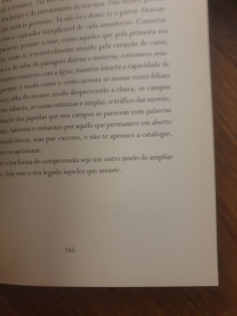 Livro José Tolentino de Mendonça