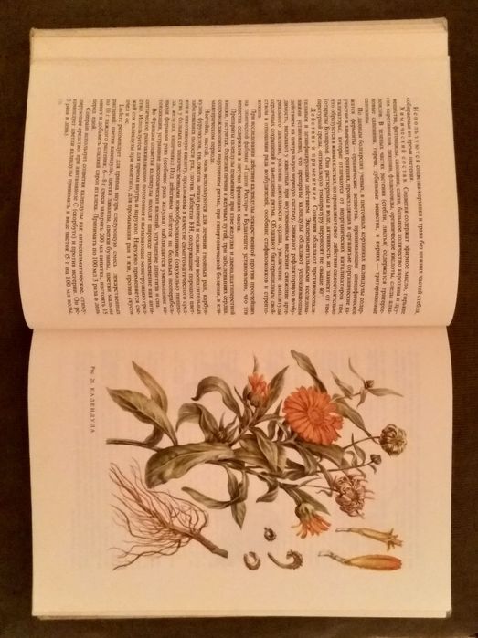 Травы книга 1972 г