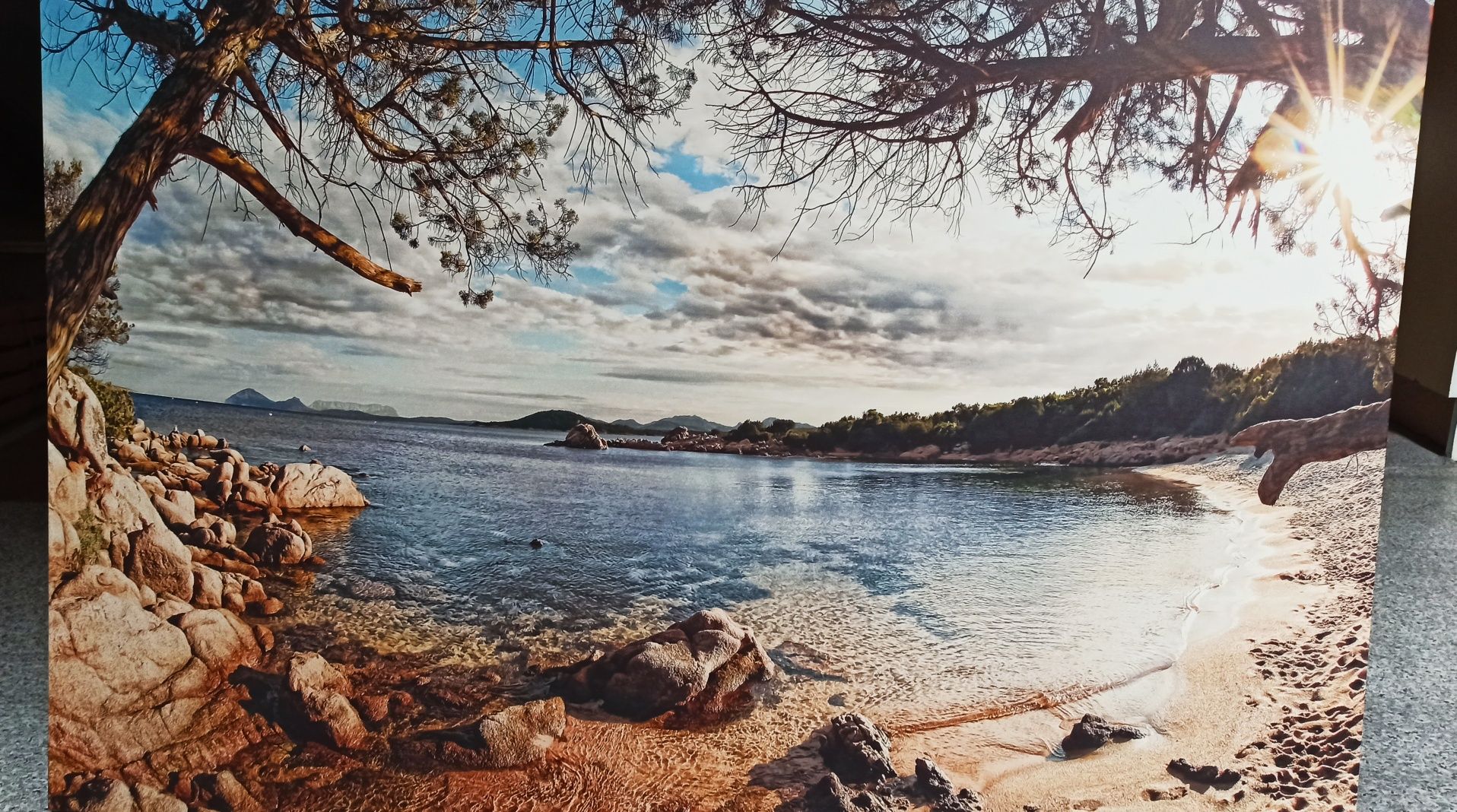 Obraz natura widok
