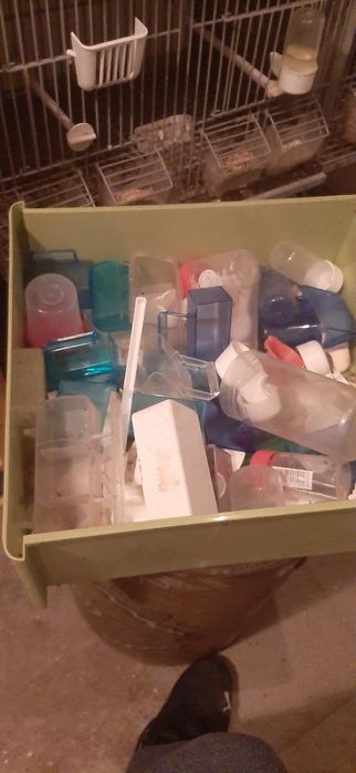 Acessórios para passaros