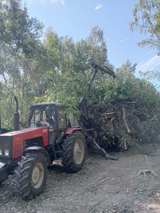 Wycinka drzew w zamian za material, czyszczenie dzialek