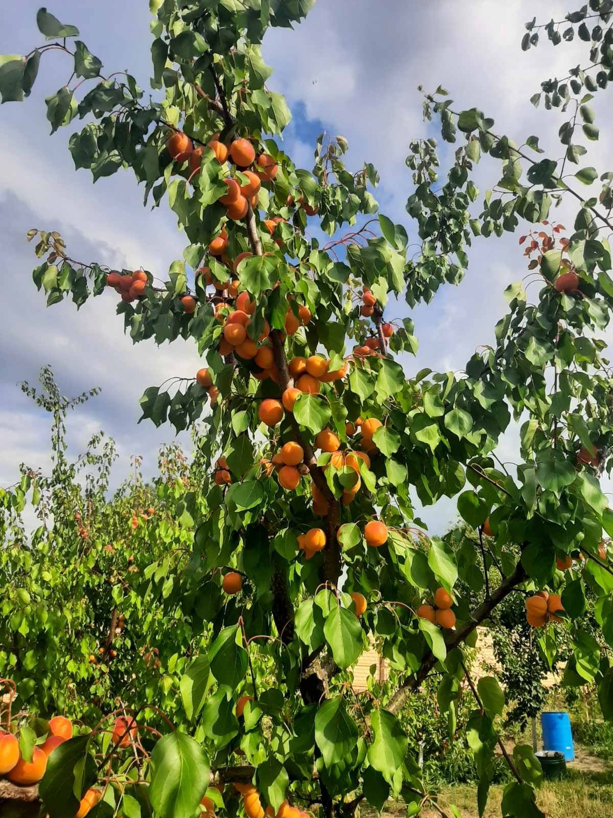 Продаж будинку в мальовничому місці.