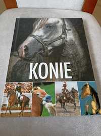 Książka album Konie