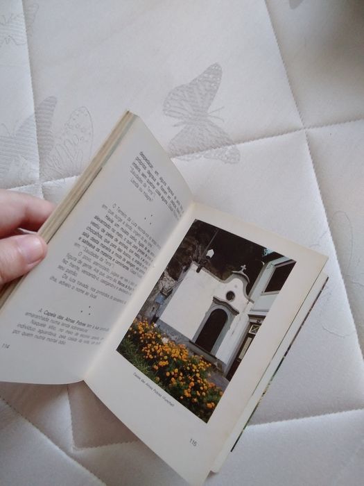 Livro guia Madeira e Porto Santo Duas Ilhas em contraste