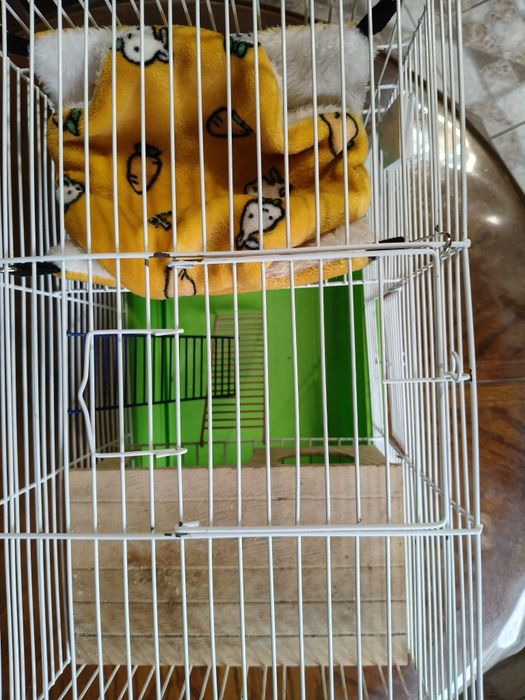 Клетка для грызунов